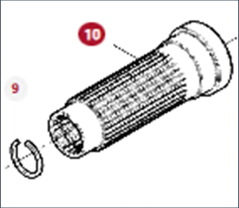 ARBRE PDF